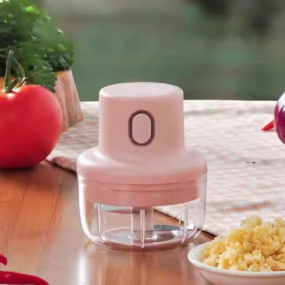 Mini Food Chopper